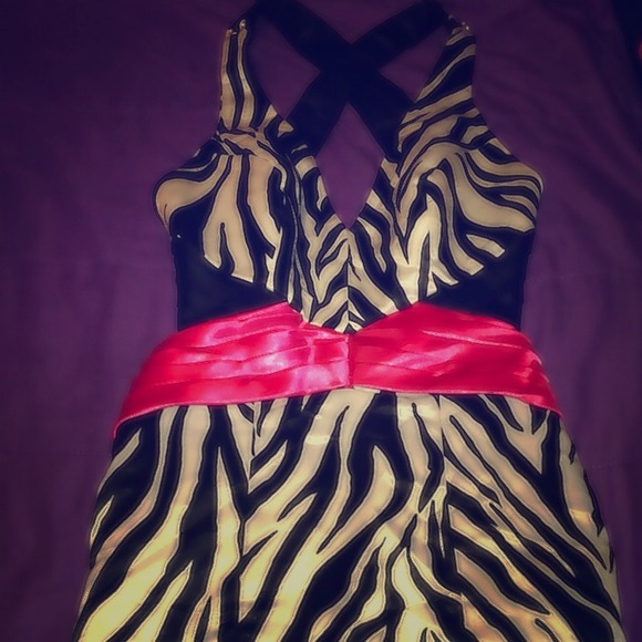 Silk Zebra Dress - Picture 1 of 1