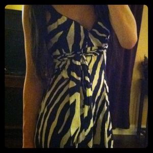 ZARA Collection Zebra Print Dress