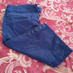 Navy blue knee length crops