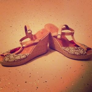 American Eagle Wedges