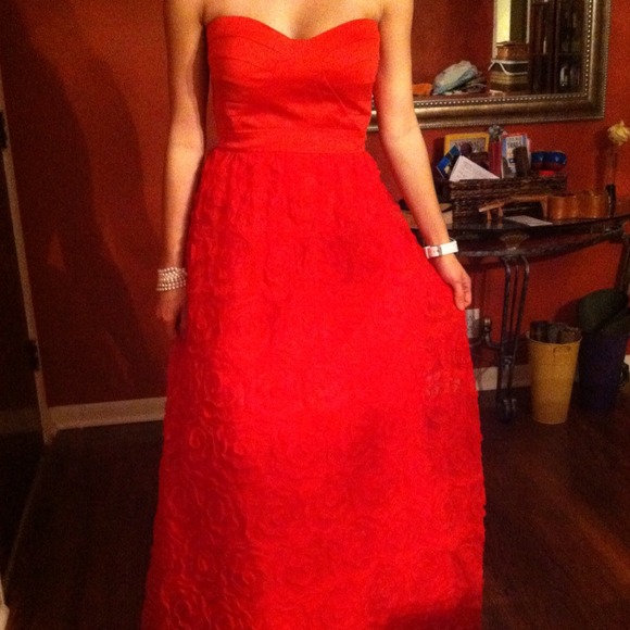 ADRIANA PAPELL spectacular Dress.