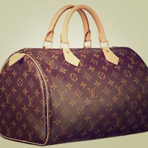 Louis Vuitton brown classic speedy