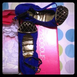 Beautiful Blue flats! Only worn twice!