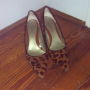 Band Olino pointed toe cheetah heels