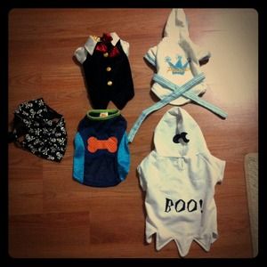 Small Boy Dog Clothes Collection