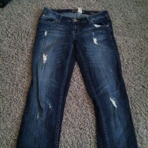 Bundle for CM_Montgomery