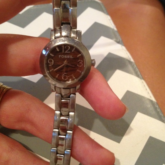 Reduced Fossil Silver and Brown Watch