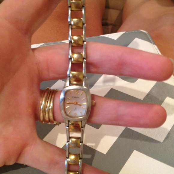 Reduced Fossil Gold and Silver Watch