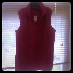 A. giannetti pink vest