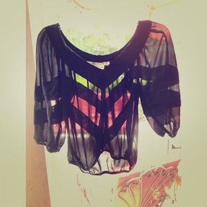 Max Studio Sheer Blouse