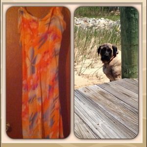 Reduced sheer, floral Sun Dress
