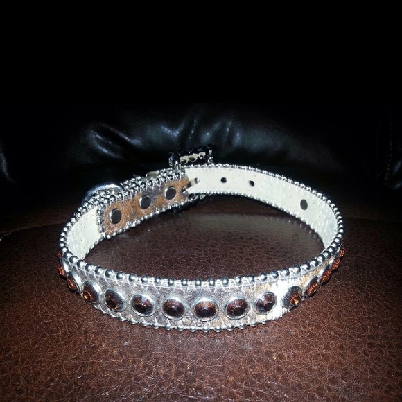 *SOLD*  BB Simon Dog Collar 🐶 No Trade :( - Picture 3 of 4