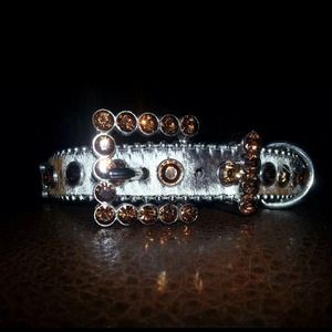 *SOLD*  BB Simon Dog Collar 🐶 No Trade :(