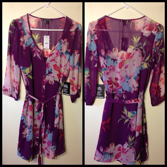 Express Chiffon Floral 3/4 Sleeve Dress