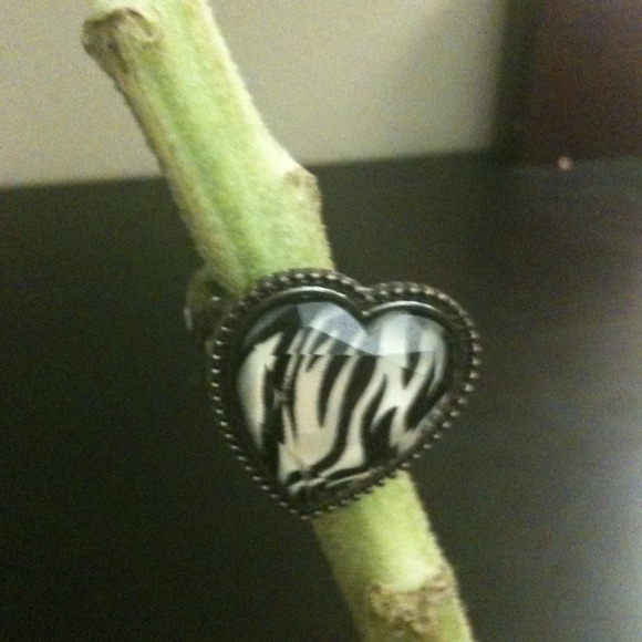 Zebra ring