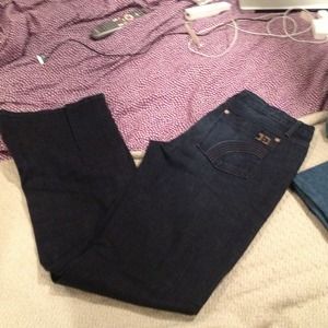 Brand new Joes Jeans. NEVER BEEN WORN. Size 32