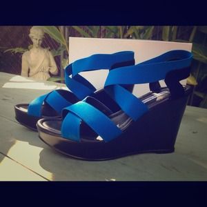 Brand new Charles David wedges
