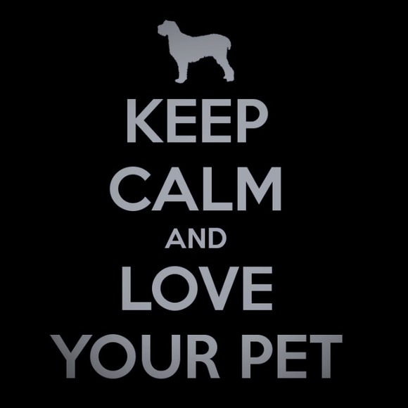 Love your pet!