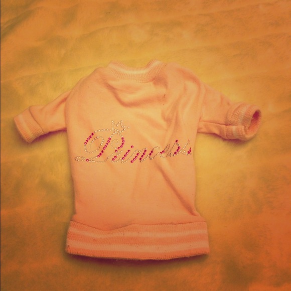 Princess Mini Breed Pet Shirt