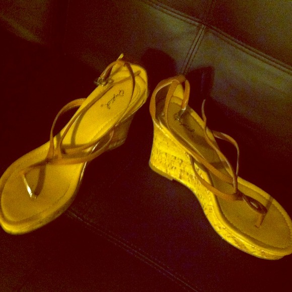 Cork material wedges