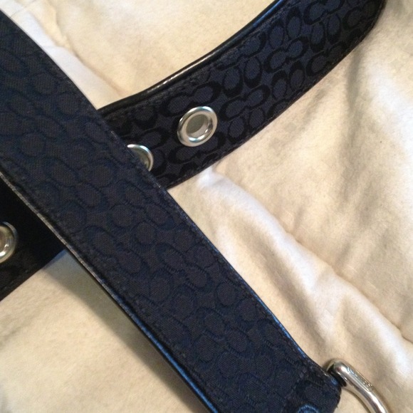 Coach belt. In black - Picture 3 of 3