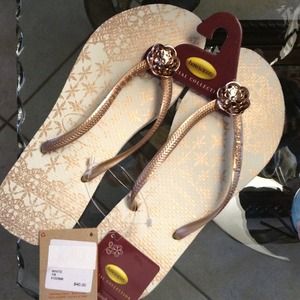 Havainas. SpecIal collection. You gotta have them!