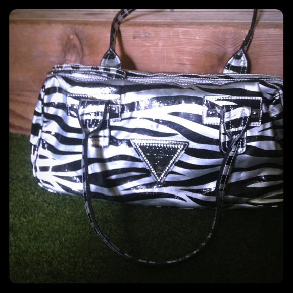 Guess zebra