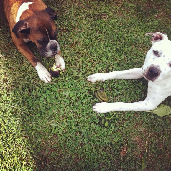 My IG: @lipstick_and_lead 😊💗💋 - Picture 3 of 4