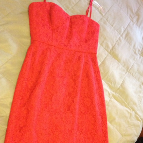 Beautiful Dress - Picture 2 of 4