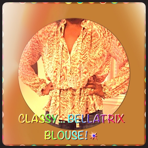 🔥Reduced🔥*BELLATRIX* blouse!
