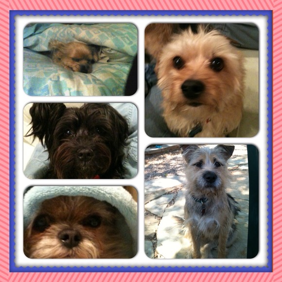 My babies