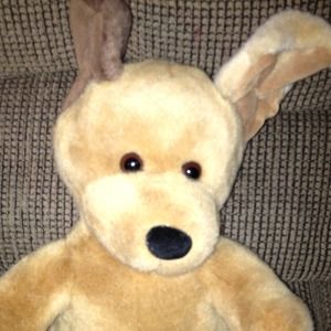 Puppy, Sold in a bundle