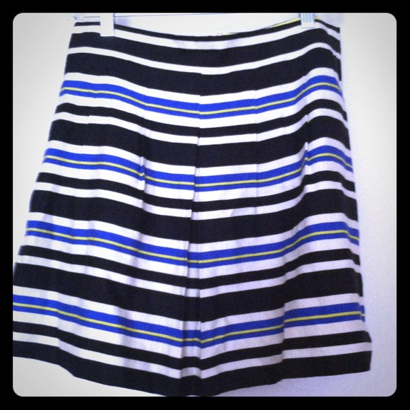 Pleated Stripe Skirt