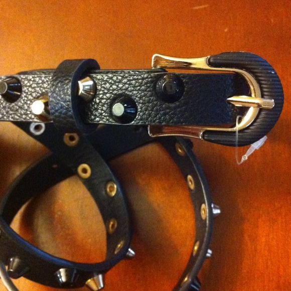 Studs Belt - Picture 2 of 2