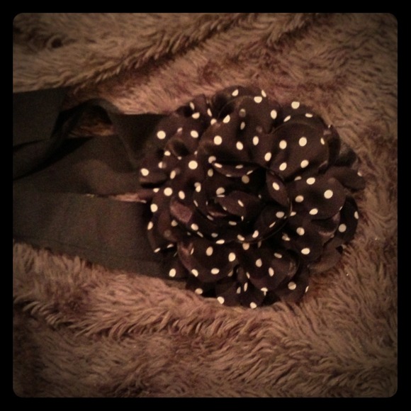 WHITE House BLACK Market NEW Polka Dot Belt NWT