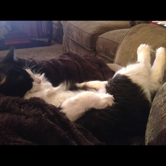 Me & my ❤❤❤'s - Picture 3 of 4