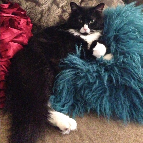 Me & my ❤❤❤'s - Picture 4 of 4