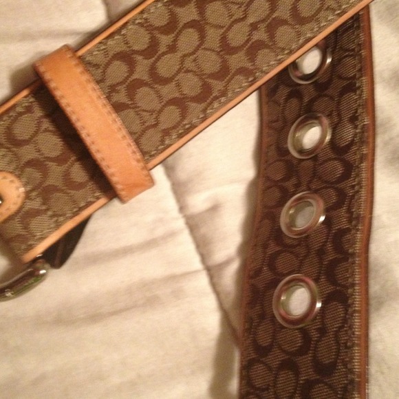 Coach belt - Picture 2 of 2