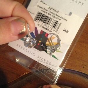 Alex and Ani earrings