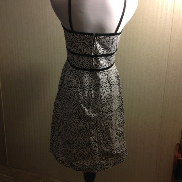 Black & White Sun Dress - Picture 4 of 4