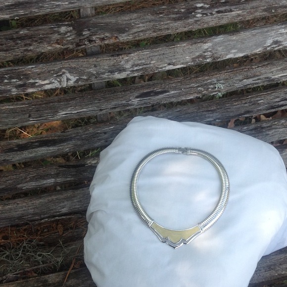 BUNDLE 18in necklace and silver tone necklace.