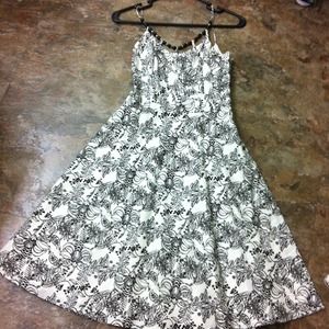 **Reduced** Ann Taylor Loft Black and white dress.