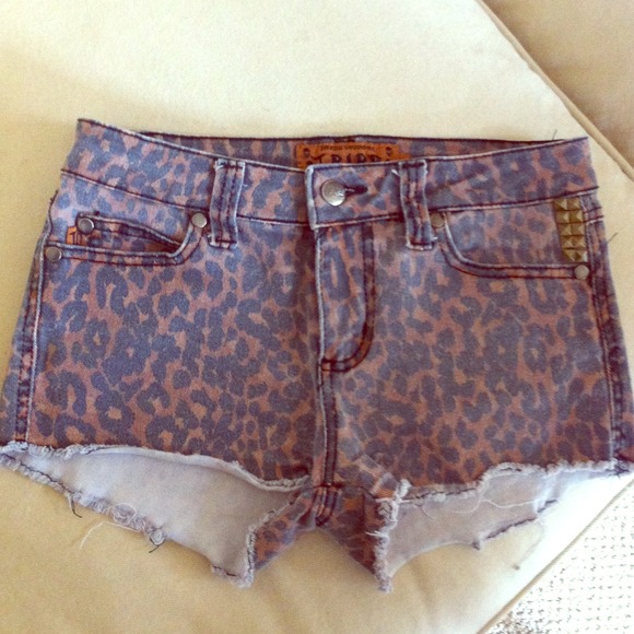 Studded Leopard Shorts