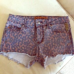 Studded Leopard Shorts