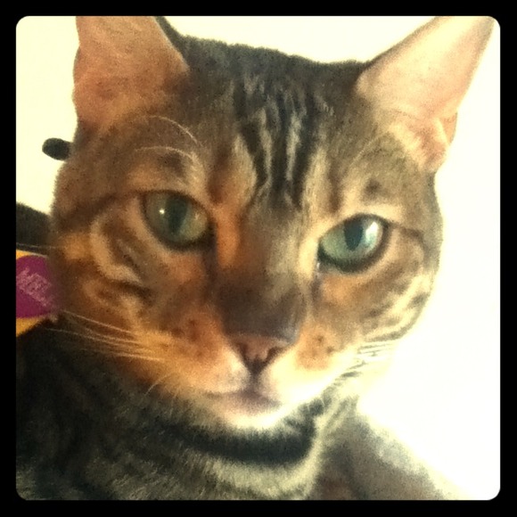 Meli says, "my mommy just slashed prices!