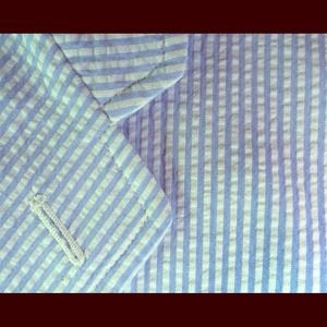 J crew seersucker Shorts!