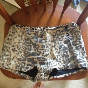 Cheetah sequined shorts
