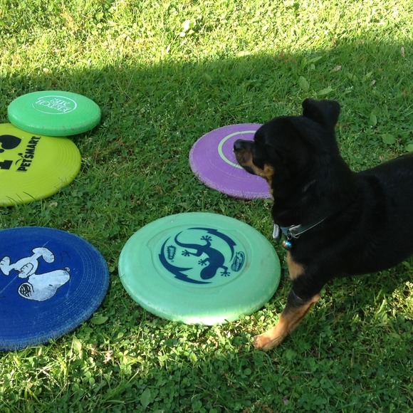 Help me get more toys!