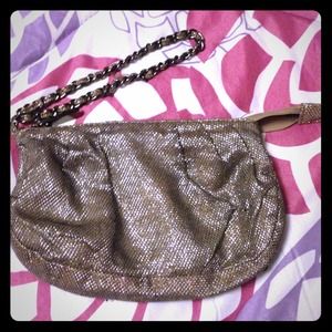 Express Shiny Mesh Clutch Wristlet