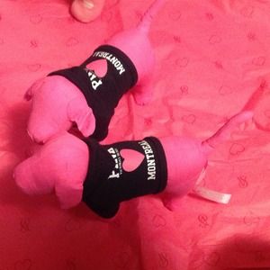 Victorias secret Montreal dog